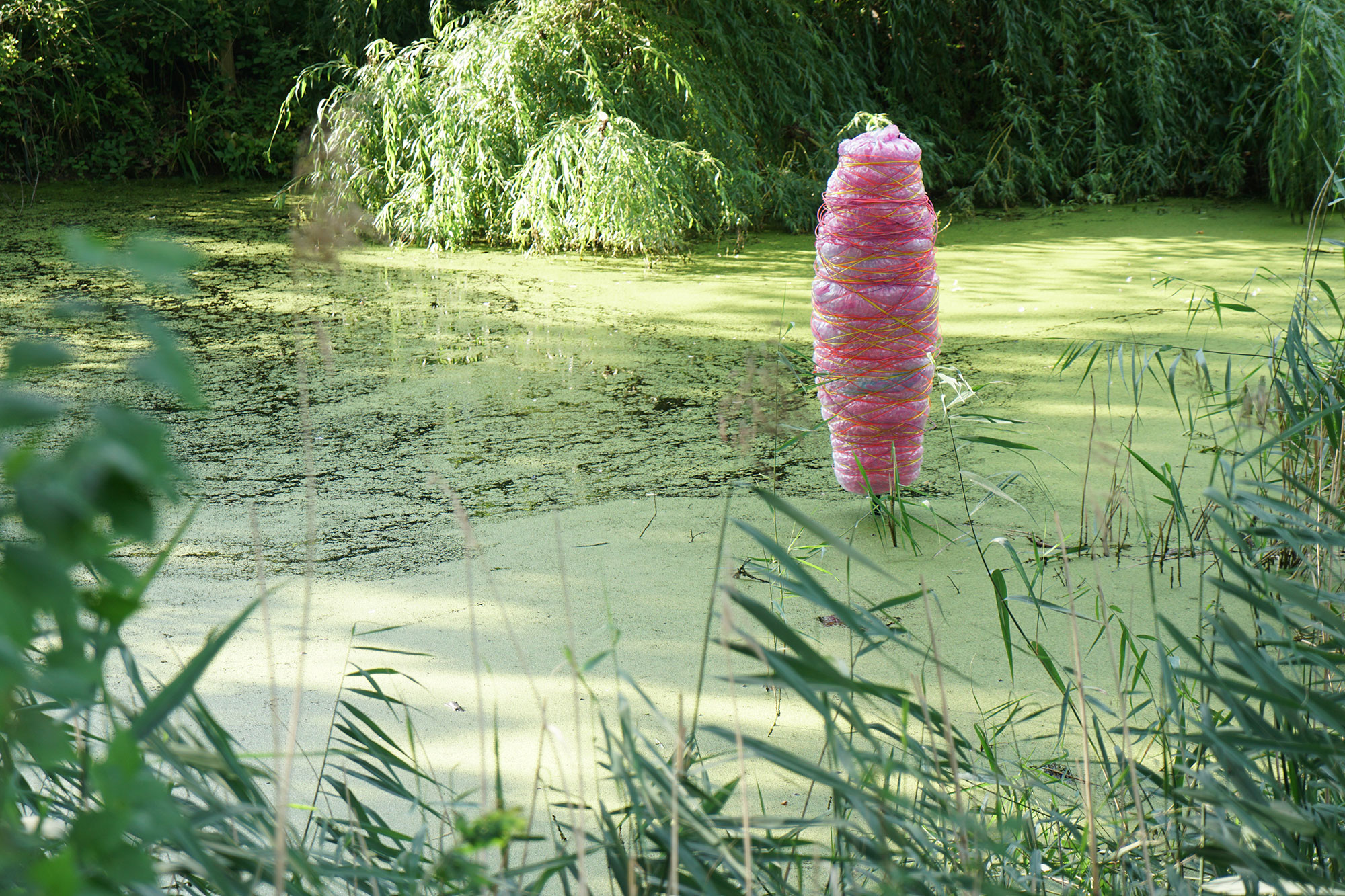 Stiftung Edelhof Ricklingen - Park